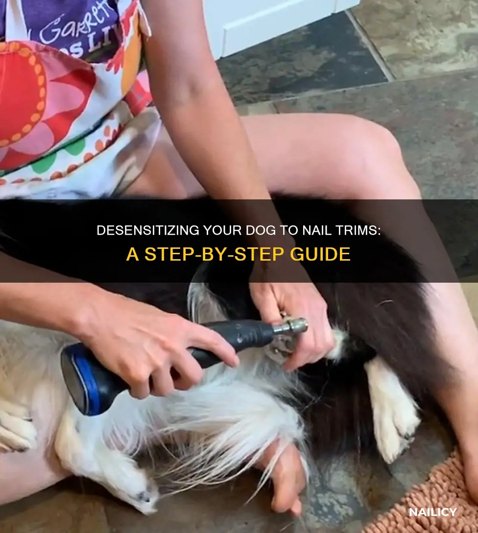 how to desensitize a dog to nail trims