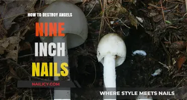 Destroying Angels: Nine Inch Nails' Dark Collaboration Unveiled