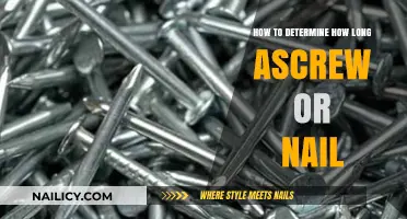 Choosing the Right Screw or Nail Length
