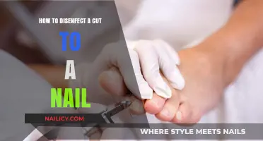 Sanitizing Cuts and Wounds: Nails to Band-Aids