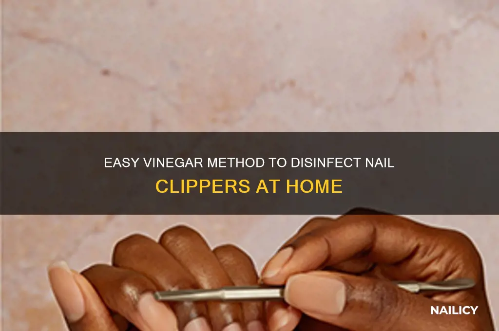 how to disinfect nail clippers with vinegar