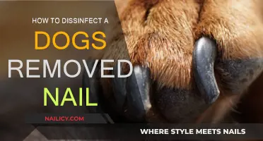 Disinfecting Your Dog's Removed Nail: A Step-by-Step Guide