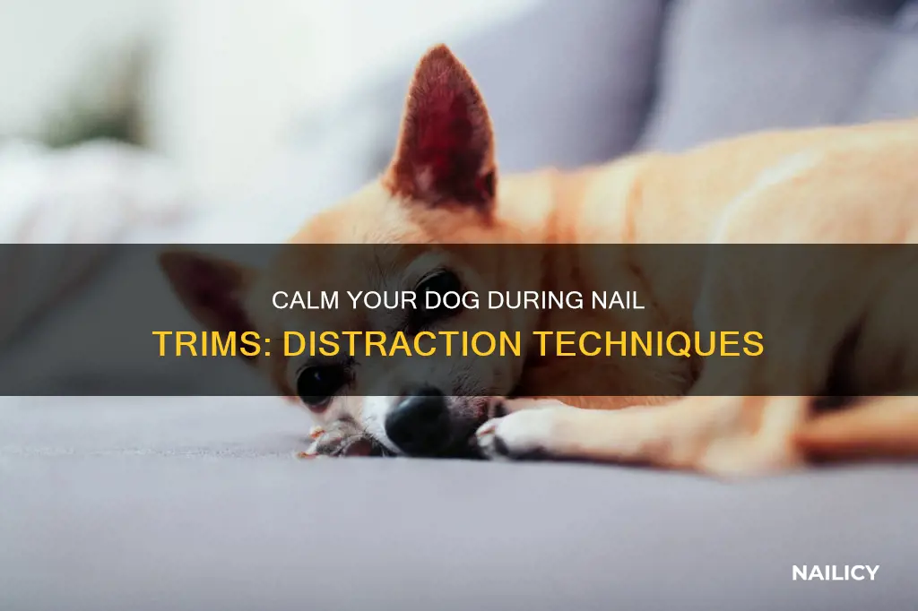 how to distract a dog when cutting nails