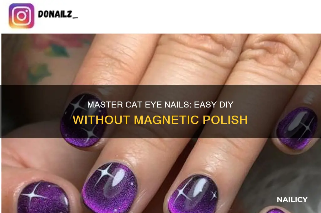 how to do cat eye nail art without magnetic polish
