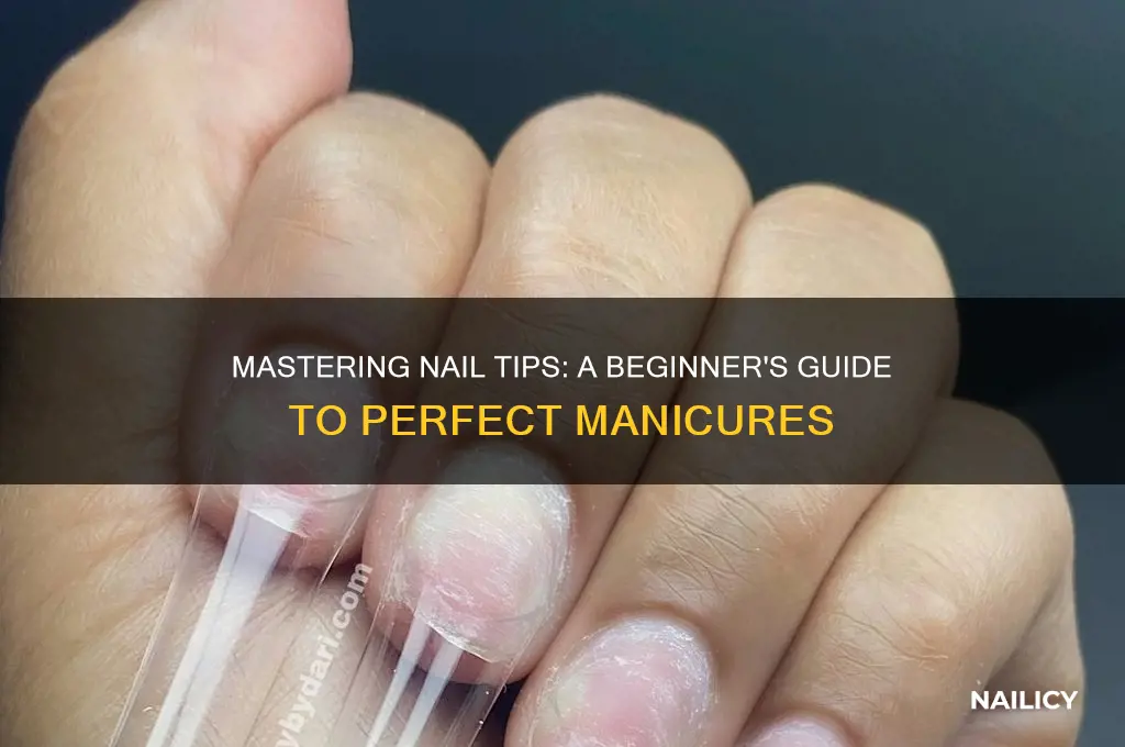 Mastering Nail Tips A Beginner's Guide To Perfect Manicures Nailicy — free download
