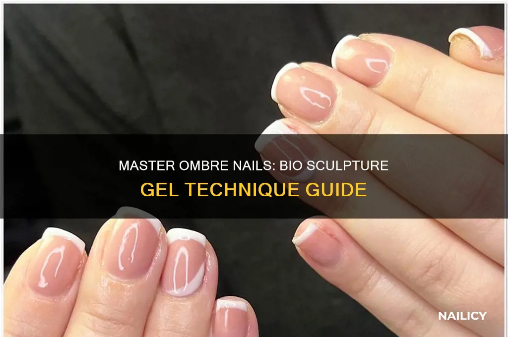 how to do ombre nails with bio sculpture
