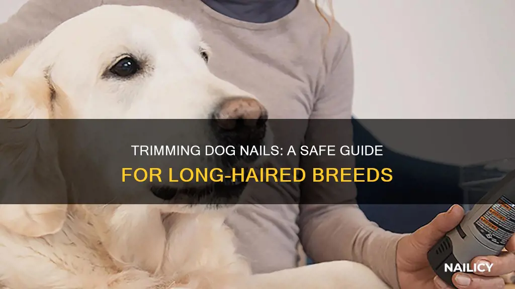 how to dremel dog nails with long hair