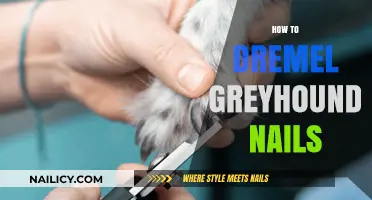 Dremel Your Greyhound's Nails: A Gentle, Stress-Free Grooming Guide