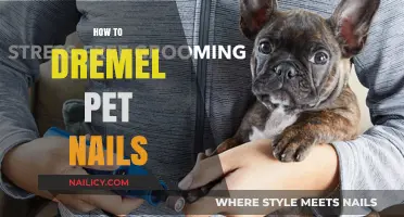 Dremel Pet Nail Care: A Gentle Guide to Trimming Paws