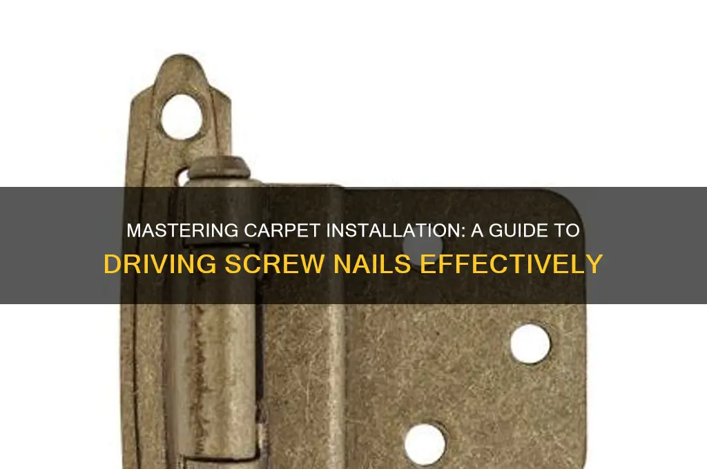 how to drive screw nails for carpet