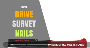 Mastering the Art of Driving Survey Nails: Tips and Techniques