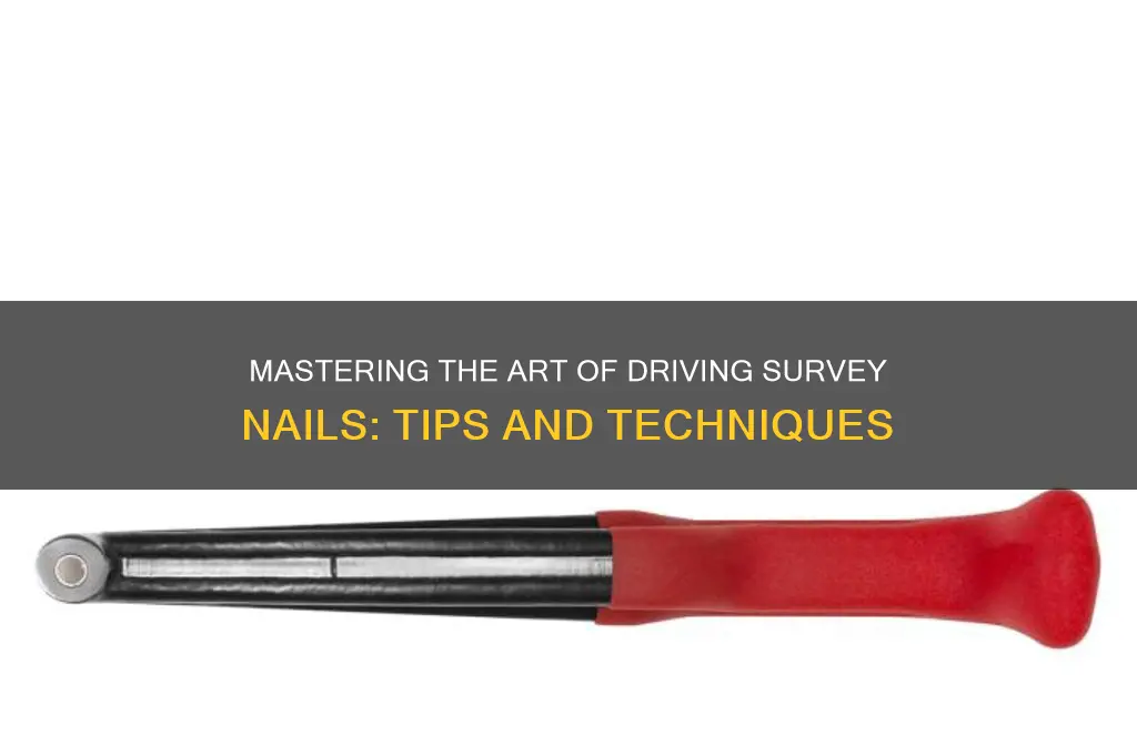 how to drive survey nails