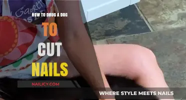 Calmly Trimming Nails: Drugging Your Dog