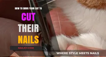 Tranquil Trimming: Nail Care for Cats