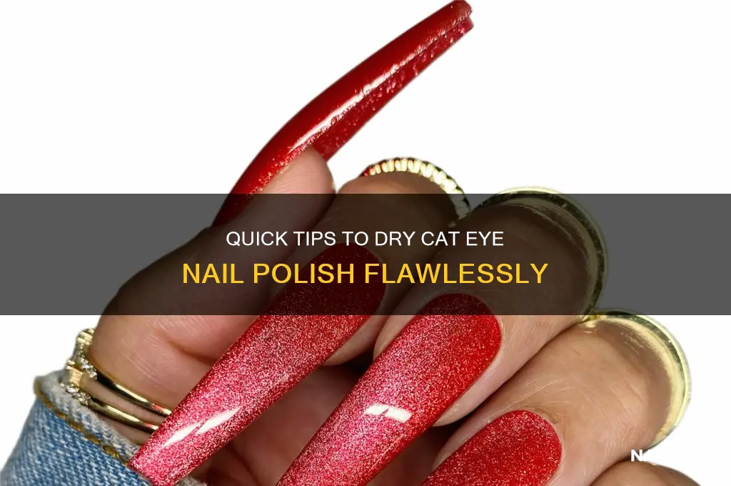 how to dry cat eye nail polish