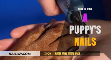 Gentle Nail Care: Safe and Easy Ways to Dull Puppy Nails