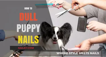 Gentle Puppy Nail Care: Safe and Easy Ways to Dull Sharp Claws