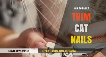 Trimming Cat Nails: An Easy, Stress-Free Guide