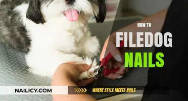 Mastering Safe and Stress-Free Dog Nail Trimming Techniques at Home