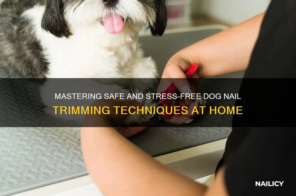 how to filedog nails