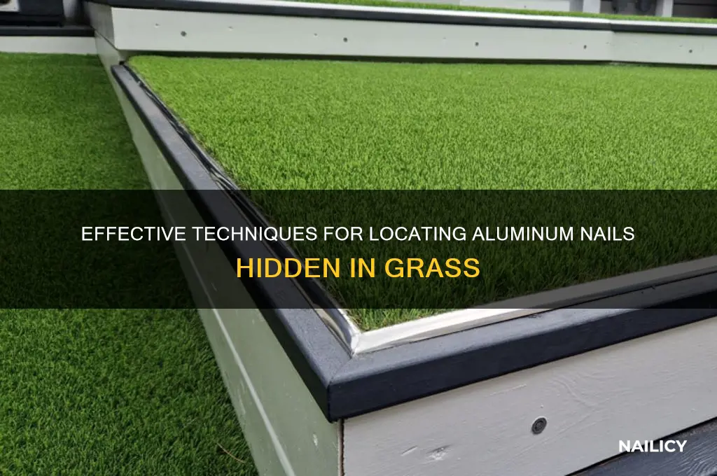 how to find aluminum nails in grass
