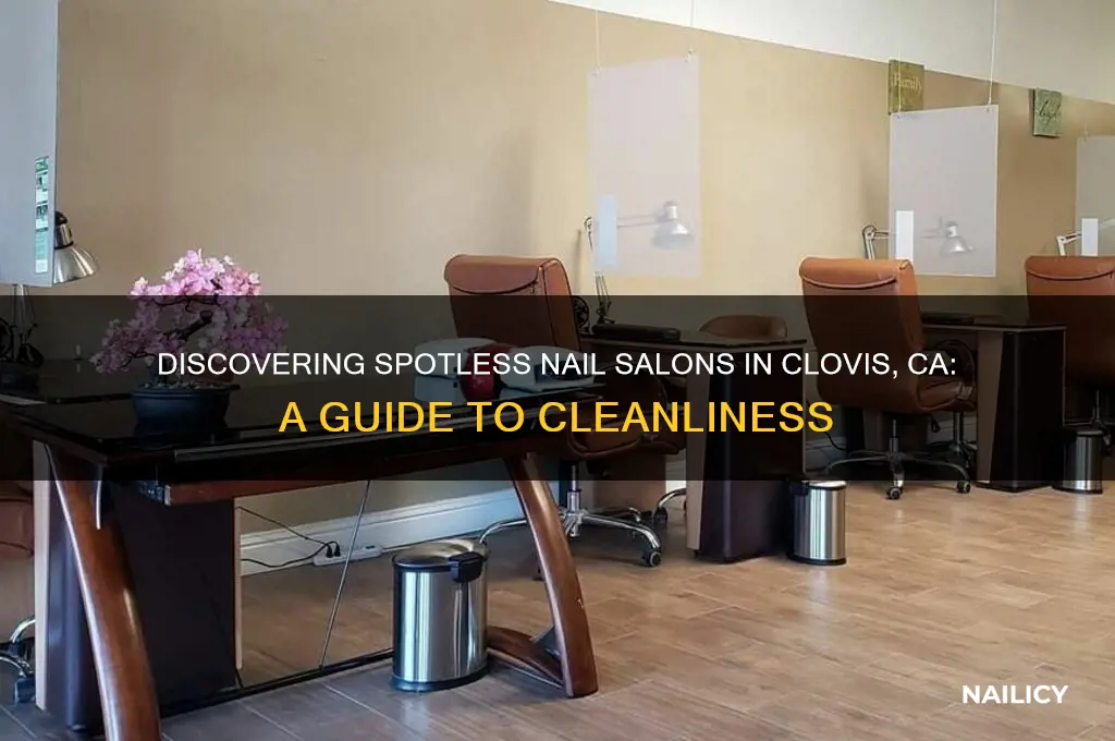 how to find clean nail salon in clovis ca