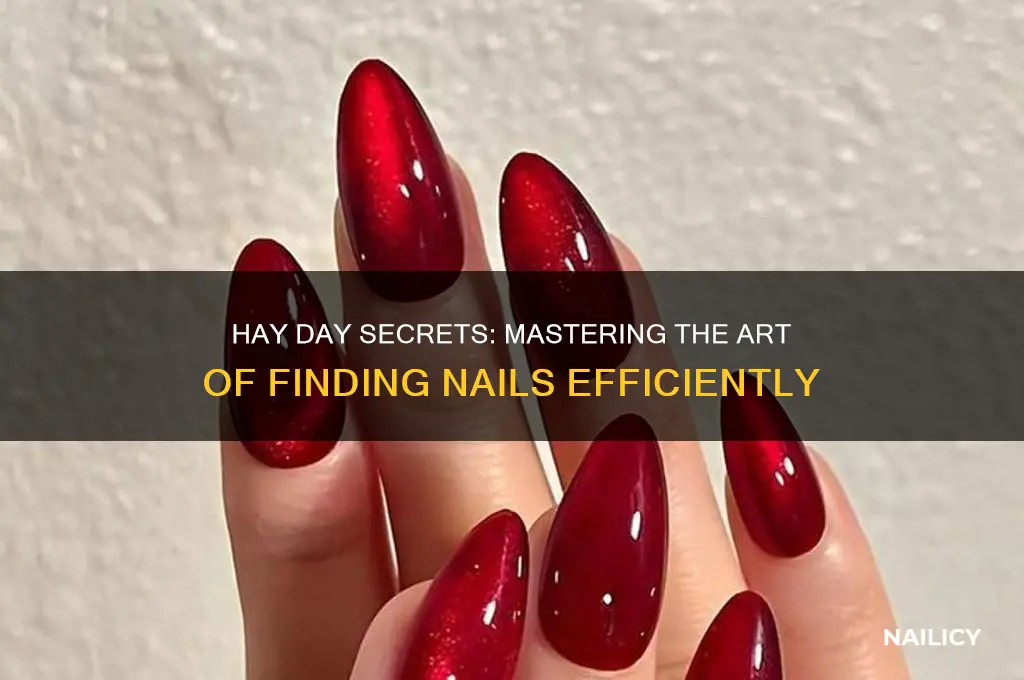 how to find nails in hay day