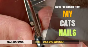 Finding a Cat Nail Trimming Service Near You