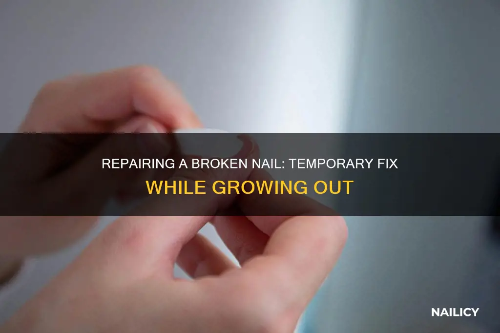 how to fix a broken nail until it grows out