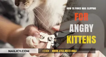 Taming Tiny Claws: Safe Nail Clipping Tips for Furious Kittens