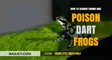 Identifying Gender in Thumbnail Poison Dart Frogs: A Comprehensive Guide
