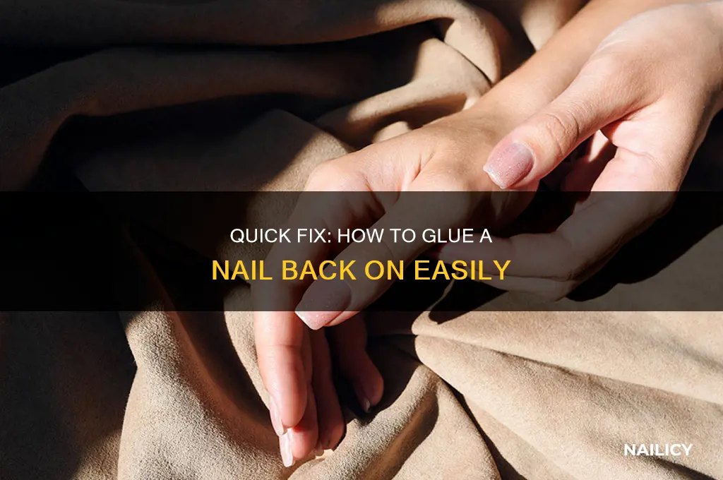 how to glue a nail back on