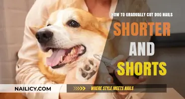 Clipping Dog Nails: Gradual Steps to Shorter Nails