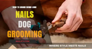 Grooming Long Nails: A Step-by-Step Guide for Dogs