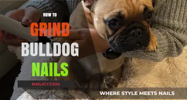 Mastering Bulldog Nail Care: A Step-by-Step Grinding Guide