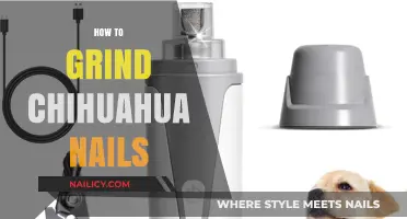Gentle Chihuahua Nail Grinding: A Step-by-Step Guide for Pet Owners