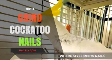 Safe and Effective Cockatoo Nail Grinding: A Step-by-Step Guide