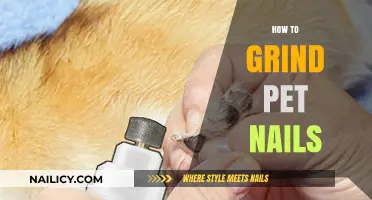 Easy Pet Nail Grinding Tips for Stress-Free Grooming at Home