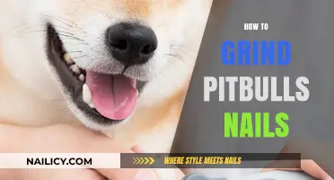 Safe and Stress-Free: A Guide to Grinding Your Pitbull's Nails