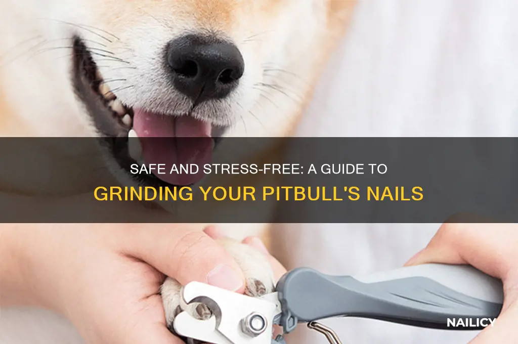 how to grind pitbulls nails