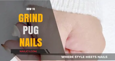Mastering Pug Nail Grinding: A Gentle Guide for Healthy Paws