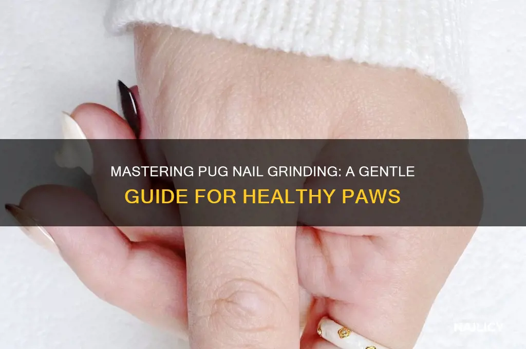 how to grind pug nails