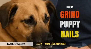 Mastering Puppy Nail Grinding: Gentle Techniques for Happy, Healthy Paws