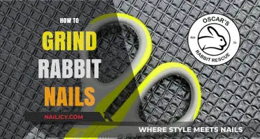 Easy Guide to Safely Trimming Your Rabbit's Nails at Home