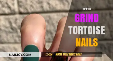 Gentle Techniques for Trimming and Grinding Your Tortoise's Nails Safely