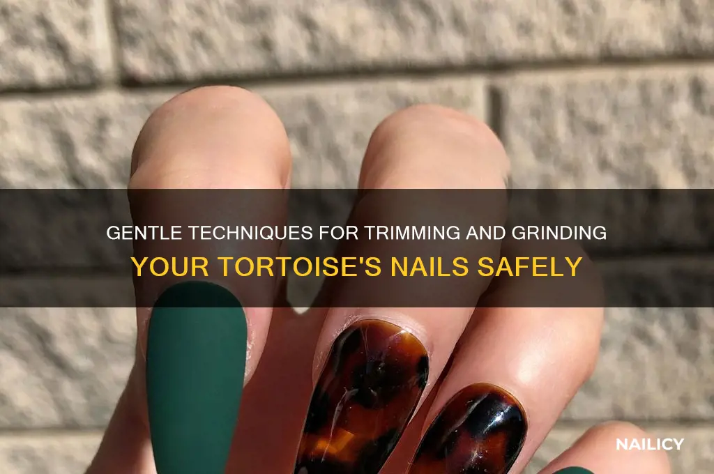 how to grind tortoise nails