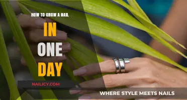 Rapid Nail Growth: Achieving Results in Just One Day