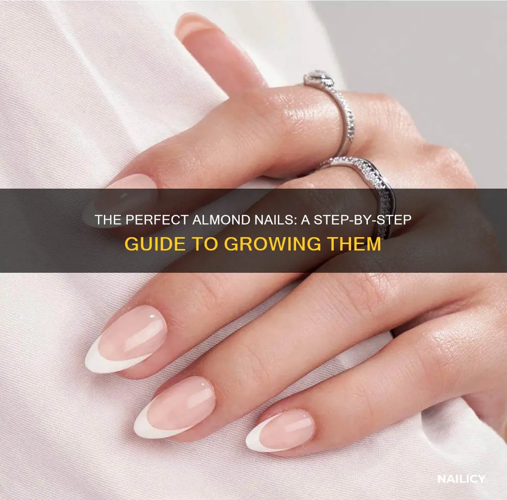 how to grow almond nails