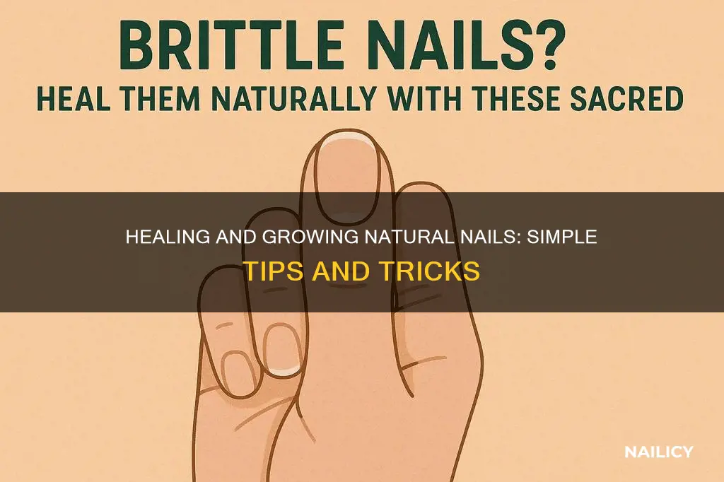 how to grow and heal natrual nails