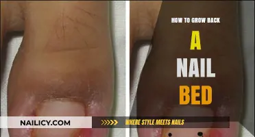 The Ultimate Guide to Nail Bed Recovery